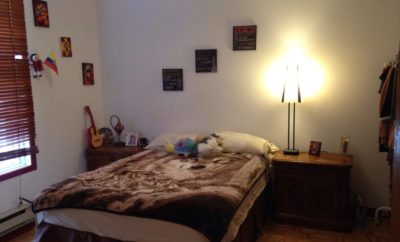 SPACIOUS BEAUTIFUL ROOM SUBLET (MAY-JUNE) IN PLATEAU APARTMENT