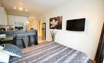 Furnished Studio in Plateau
